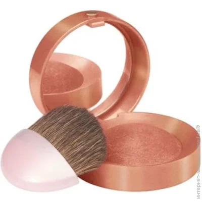 Bourjois ' Pastel Joues 32   2,5 