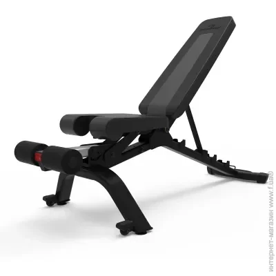 Bowflex   SelectTech 4.1S