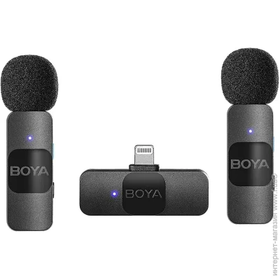 ̳    Boya BY-V2