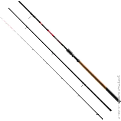 Brain   Classic 360  100 