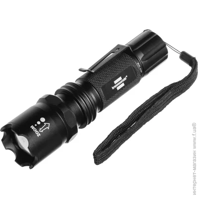  Brennenstuhl TL 250F 