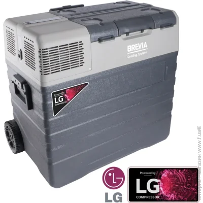    Brevia 62 ( LG) 22795