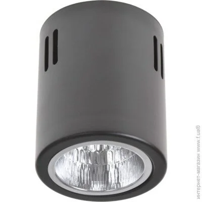Brille   AL-70/1 GU10 SBK IP20 (26-432)