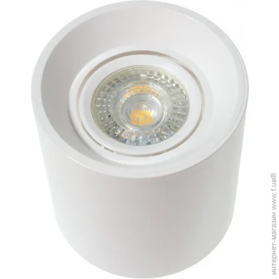 Brille   AL-709/1 GU5.3 WH (36-289)
