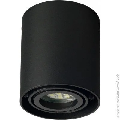 Brille   AL-81/1 GU10 SBK IP20 (26-819)