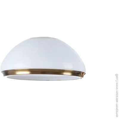 Brille    BKL-342 (YL1147)