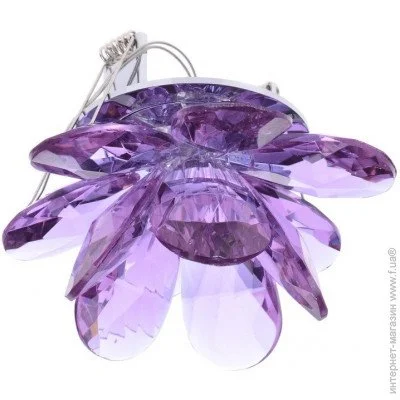 Brille   HDL-G117 PURPLE (162236)