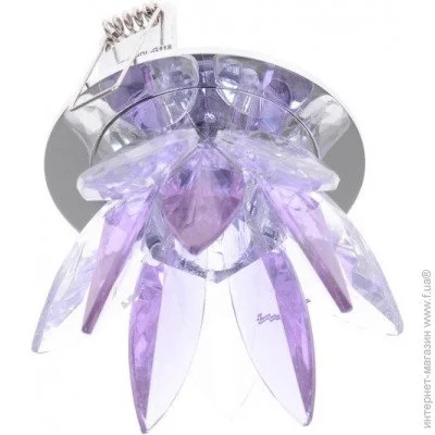 Brille   HDL-G118 PURPLE (162254)