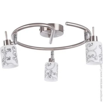  Brille  -    HTL-142/3 Brille 176501