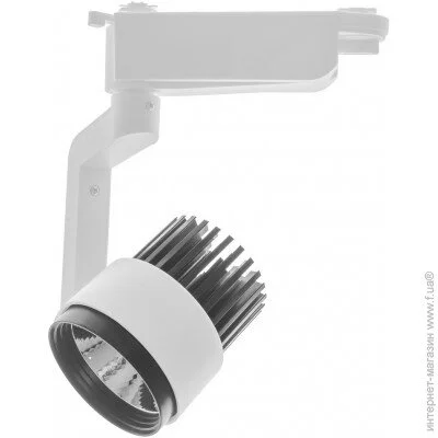 Brille   KW-216/12W NW WH/BK (33-008)
