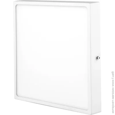 Brille    LED-491/24W CW (L121-106)