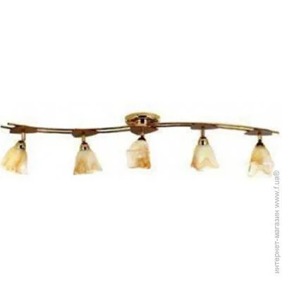 Спот Brille Спот LK-188S/5 E14 FGD (L5-217) Спот Brille Спот LK-188S/5 E14 FGD (L5-217)