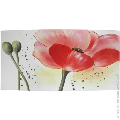  Brille . () -.   QP11 (D5-010)