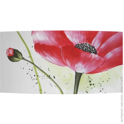 Brille . () -.   QP11 (T) (D5-010-1)