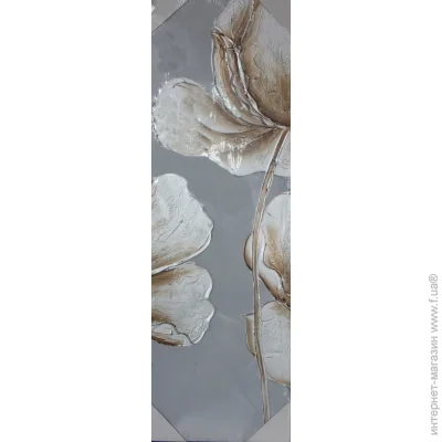 Brille  () .   QP2 (M)  (D5-001-2)