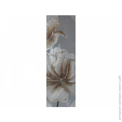 Brille  () .   QP2 (R)  (D5-001-3)