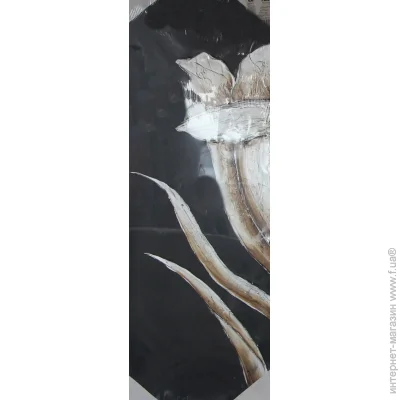 Brille  () .   QP3 (L)  (D5-002-1)