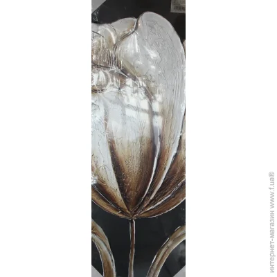 Brille  () .   QP3 (M)  (D5-002-2)
