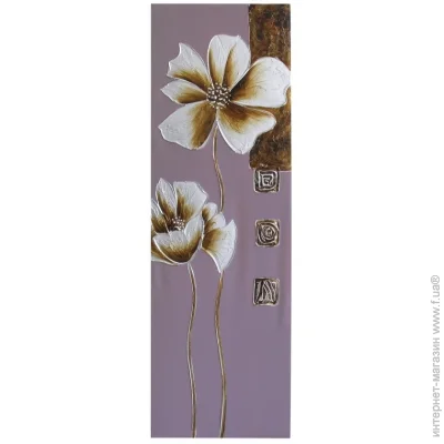 Brille . .   QP5 (D5-004)