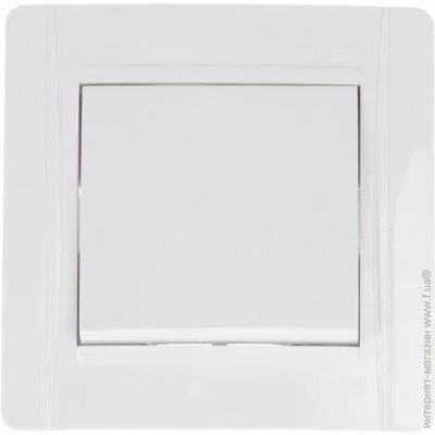 Brille     ZB-1V WH (L15-020)