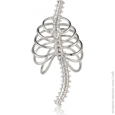 Broche     BRBF111324