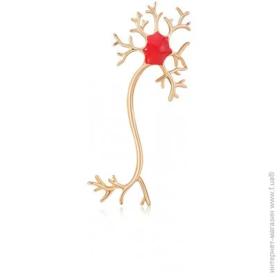 Broche    BRBF111618