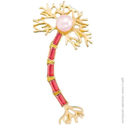 Broche    BRBF114845