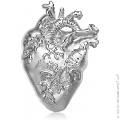Broche -    BRGV111521