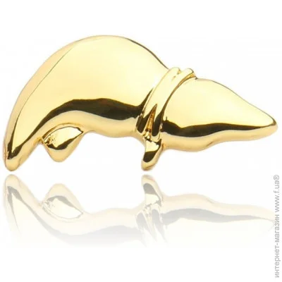  Broche    BRGV111822
