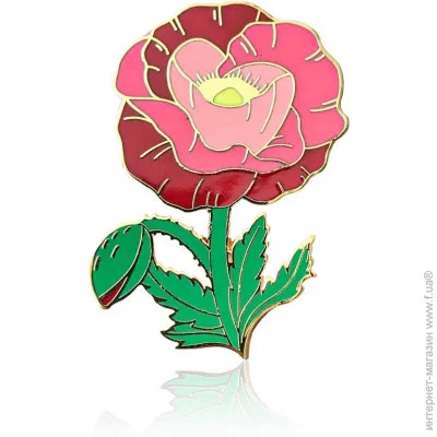  Broche    BRGV112789
