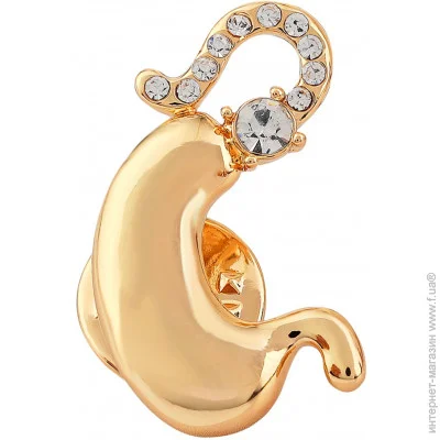  Broche    BRGV112917 BRGV112917