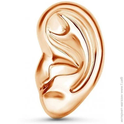  Broche    BRGV112956 BRGV112956