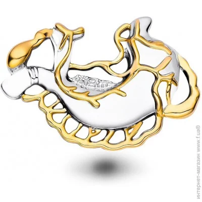  Broche    BRGV112963