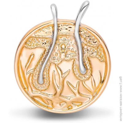  Broche    BRGV112968