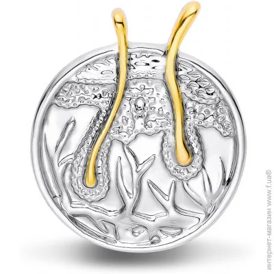  Broche    BRGV112969