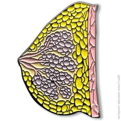  Broche     BRGV113038 BRGV113038