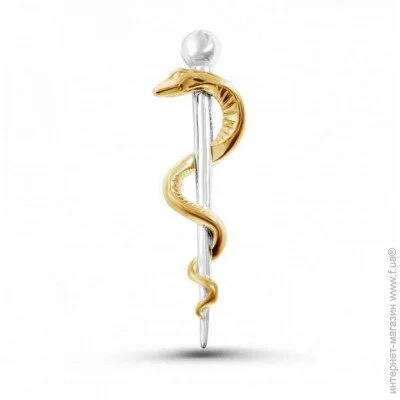  Broche     BRGV113041 BRGV113041