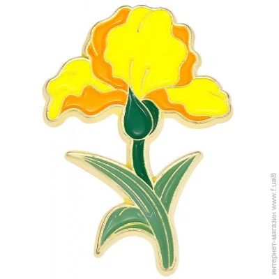  Broche    BRGV113047
