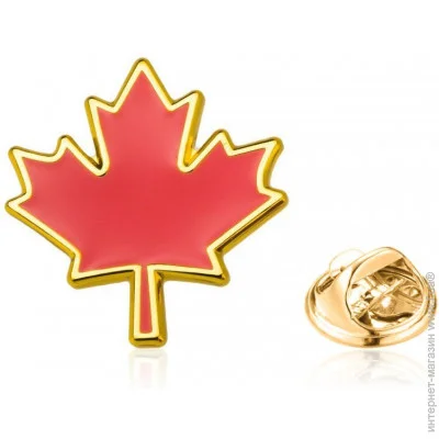  Broche     BRGV113413