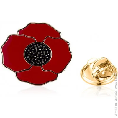  Broche    BRGV113416