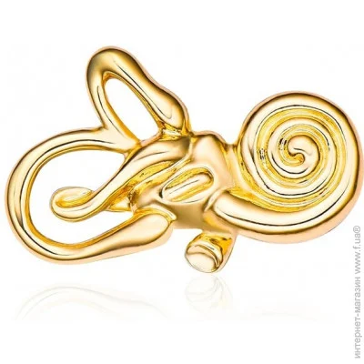  Broche ϳ    BRGV113534