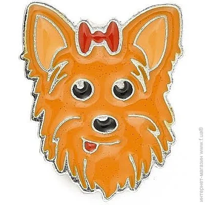  Broche     BRGV113604