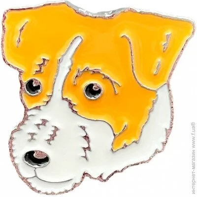  Broche     BRGV113640