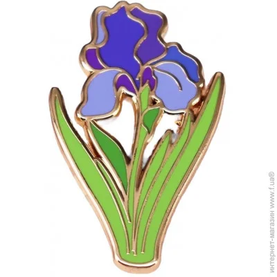  Broche ϳ   BRGV113855