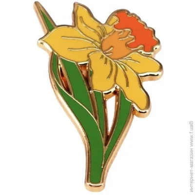 Broche ϳ   BRGV113856