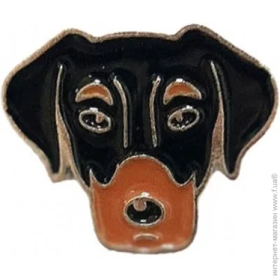  Broche    BRGV113907