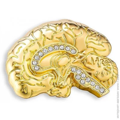  Broche ϳ   BRGV113912
