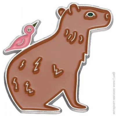  Broche    BRGV114115