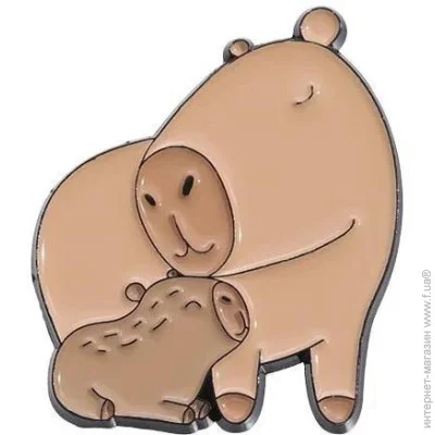  Broche    BRGV114172