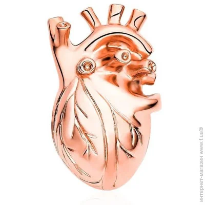  Broche    BRGV114277
